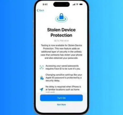黄梅苹果授权维修店分享被盗设备保护功能开启方法 