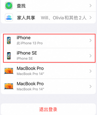 黄梅苹黄梅果维修网点分享iPhone如何查询序列号