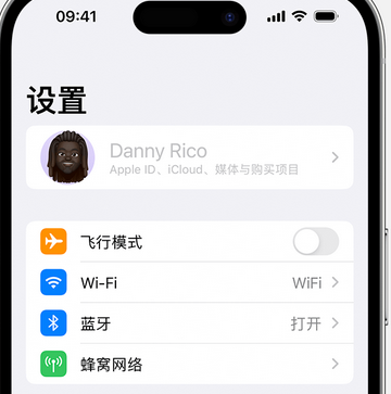 黄梅appleID维修服务iPhone设置中Apple ID显示为灰色无法使用 