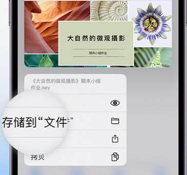 黄梅apple维修中心分享iPhone文件应用中存储和找到下载文件