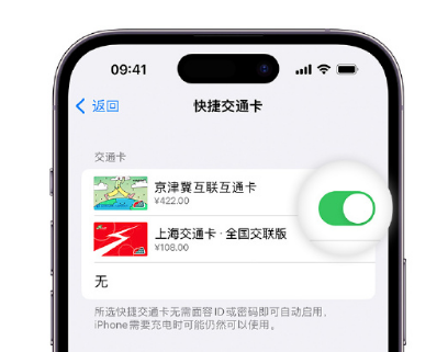 黄梅apple维修点分享iPhone上更换Apple Pay快捷交通卡手绘卡面 