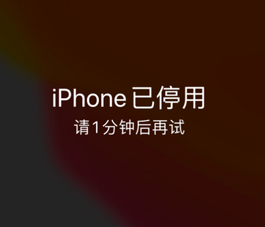 黄梅苹果手机维修分享:iPhone 显示“不可用”或“已停用”怎么办？还能保留数据吗？ 