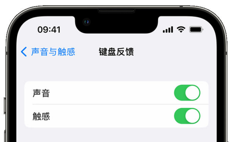 黄梅苹果手机维修分享iPhone 14触感键盘使用方法 