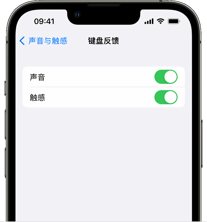 黄梅苹果14维修店分享如何在 iPhone 14 机型中使用触感键盘 