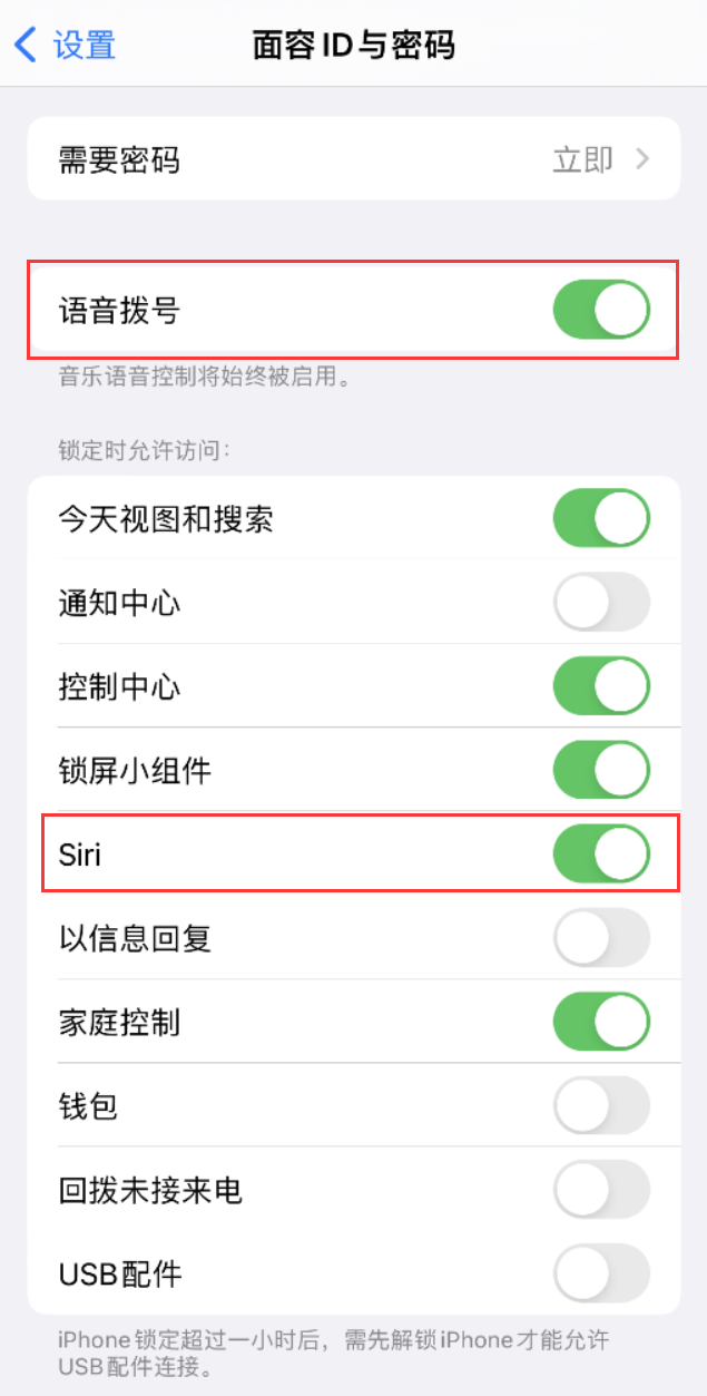 黄梅苹果维修网点分享不解锁 iPhone 的情况下通过 Siri 拨打电话的方法 