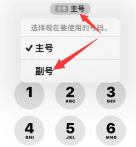 黄梅苹果14维修店分享iPhone 14 Pro Max使用副卡打电话的方法 