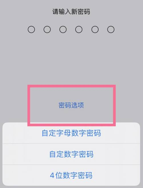 黄梅苹果14维修分享iPhone 14plus设置密码的方法 