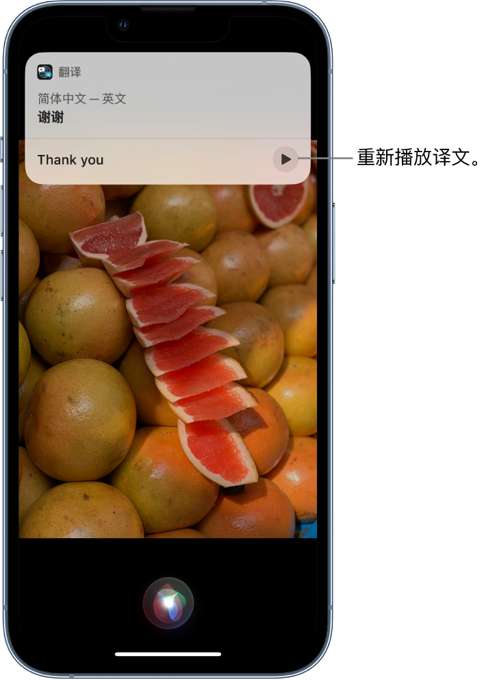 黄梅苹果14维修分享 iPhone 14 机型中使用 Siri：了解 Siri 能帮你做什么 