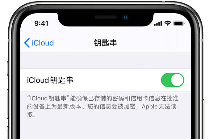 黄梅苹果手机维修分享在 iPhone 上开启 iCloud 钥匙串之后会储存哪些信息 