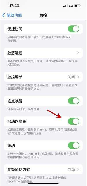 黄梅苹果手机维修分享iPhone手机如何设置摇一摇删除文字 