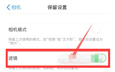 黄梅苹果13维修分享iPhone13拍照有绿点是怎么回事 