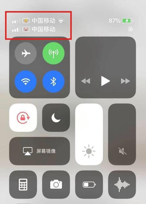 黄梅苹果手机维修分享为 iPhone 12 双卡设置标签 