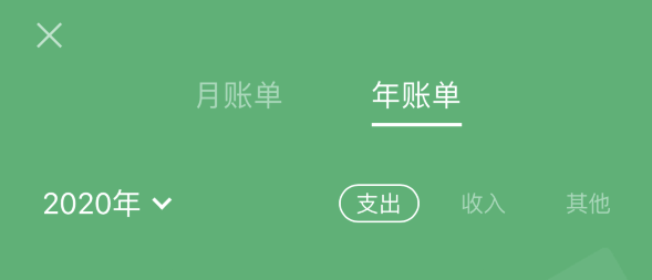 黄梅苹果手机维修分享如何在 iPhone 上查看支付宝和微信年支出账单 