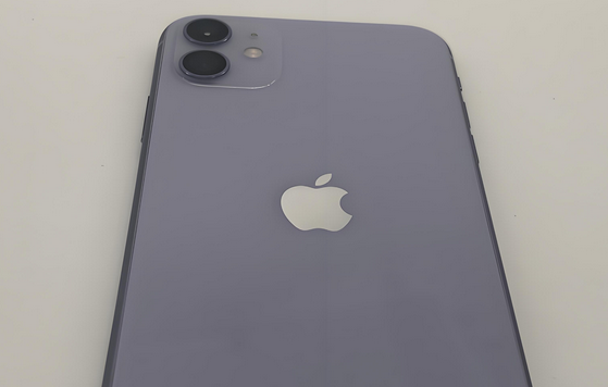 黄梅苹果11系统维修分享iPhone11手机系统崩溃无法开机如何解决